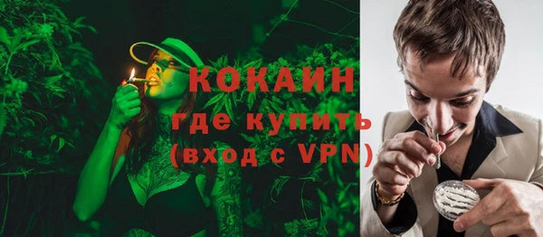 кокс Алексин