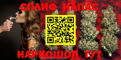 PSILOCYBIN Апшеронск